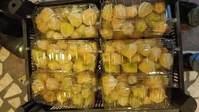 Altın Çilek 100 gr