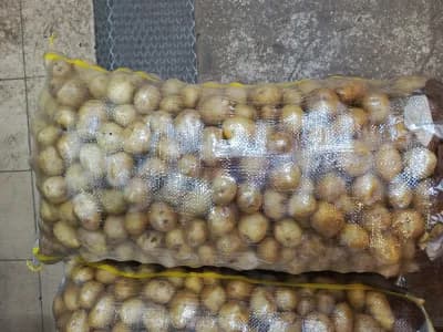 Taze Küçük Baby Patates