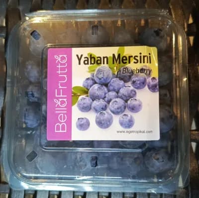 Yaban Mersini