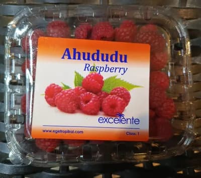 Ahududu