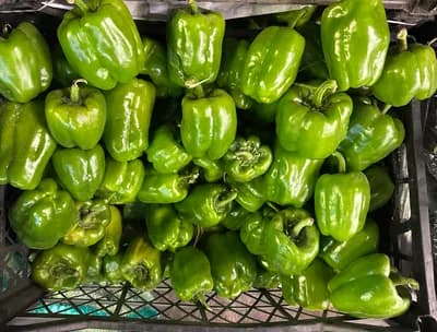 Acı Dolma