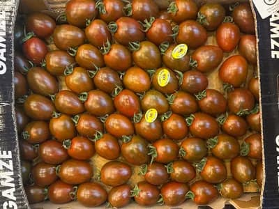 Gamze Kaplan Cherry