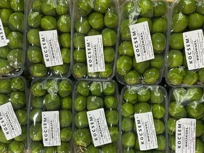 Brüksel Lahana