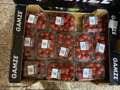 Domates Cherry Gamze
