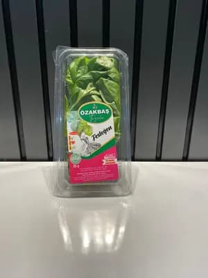 Fesleğen Paketli