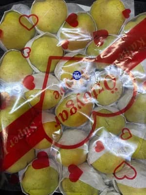 Armut Deveci Lüx
