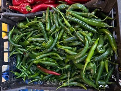 Yeşil Chili Biber Acılı