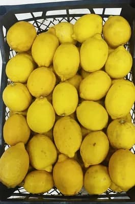 Limon Lüx