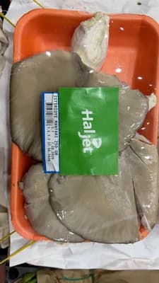 İstiridye Mantarı Paket
